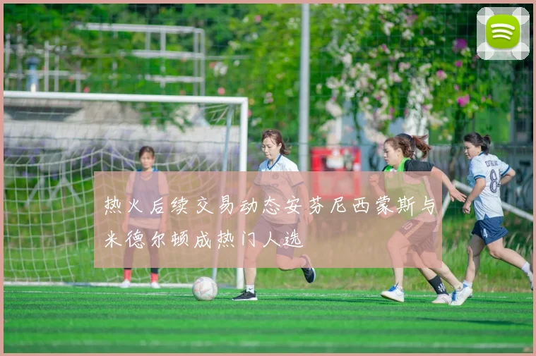 热火后续交易动态安芬尼西蒙斯与米德尔顿成热门人选