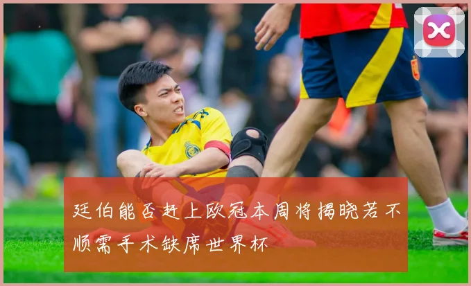 廷伯能否赶上欧冠本周将揭晓若不顺需手术缺席世界杯